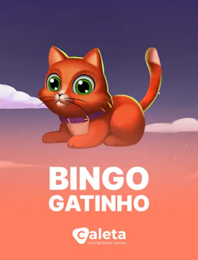 Bingo Gatinho